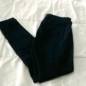 NWOT Ann taylor jegging